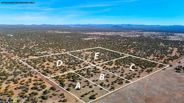 9023 Appaloosa Trail Lot E 10 Acres, Show Low, AZ 85901