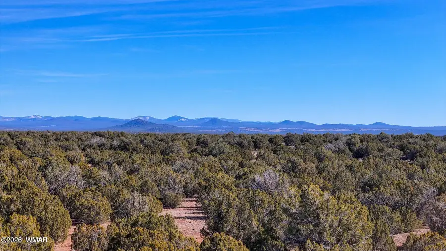 9023 Appaloosa Trail Lot E 10 Acres, Show Low, AZ 85901 - #2