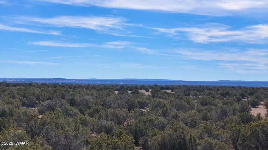 9023 Appaloosa Trail Lot D 10 Acres, Show Low, AZ 85901 - #3