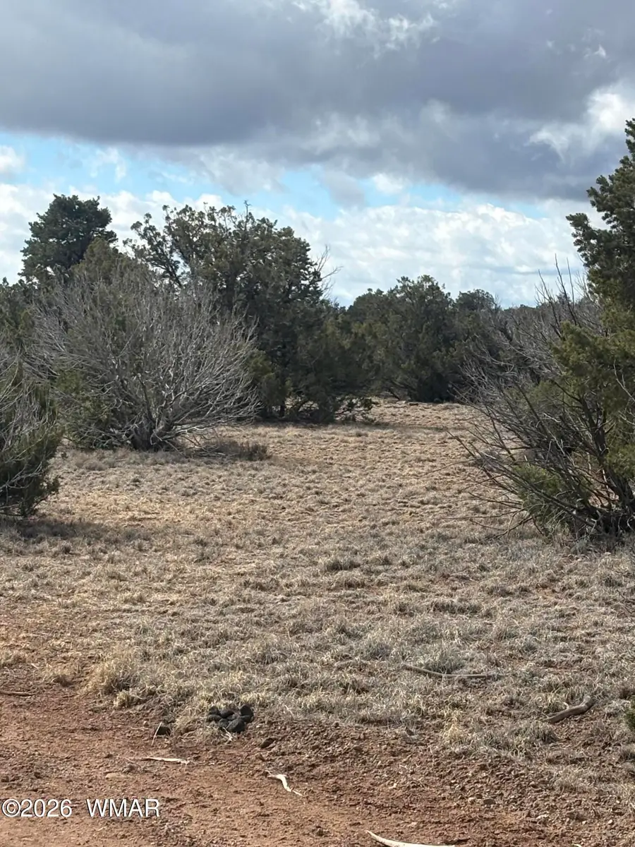 03E N8716, Concho, AZ 85924 - #3