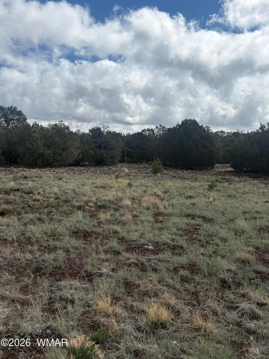 20 N3065, Vernon, AZ 85940 - #2