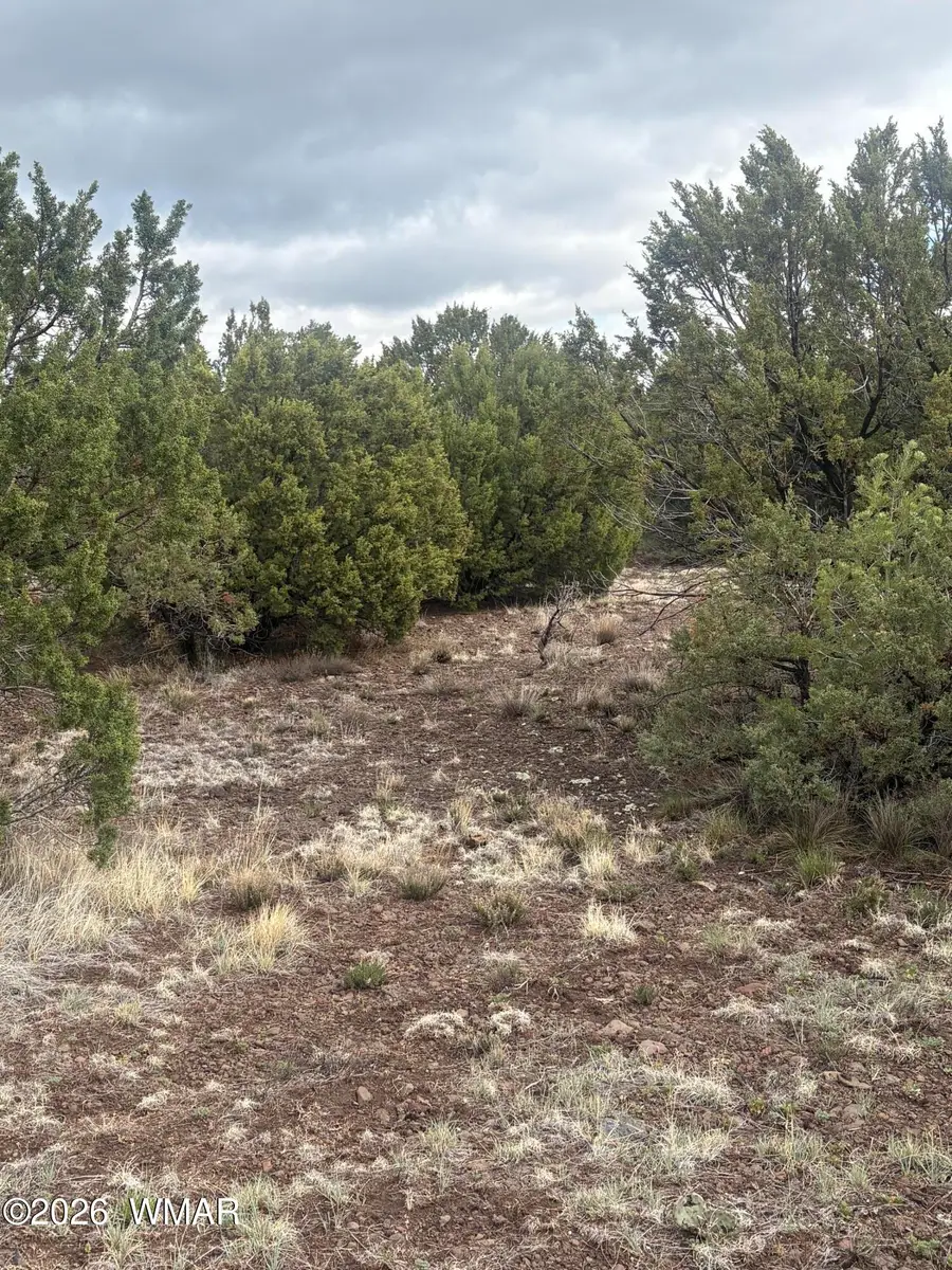 20 N3065, Vernon, AZ 85940 - #3