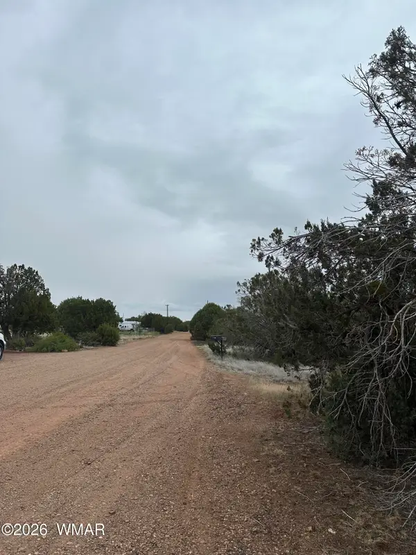 8427 Cochise Circle, Show Low, AZ 85901