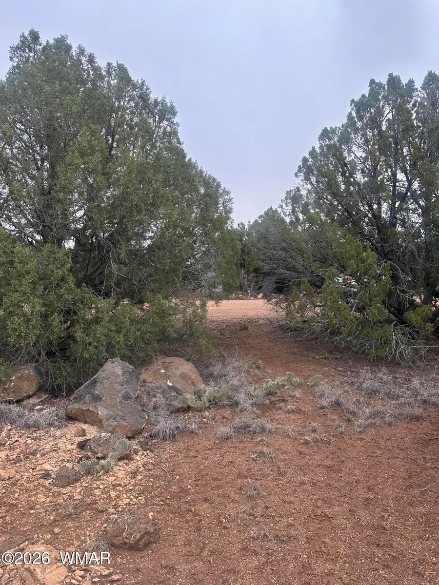 8427 Cochise Circle, Show Low, AZ 85901 - #2