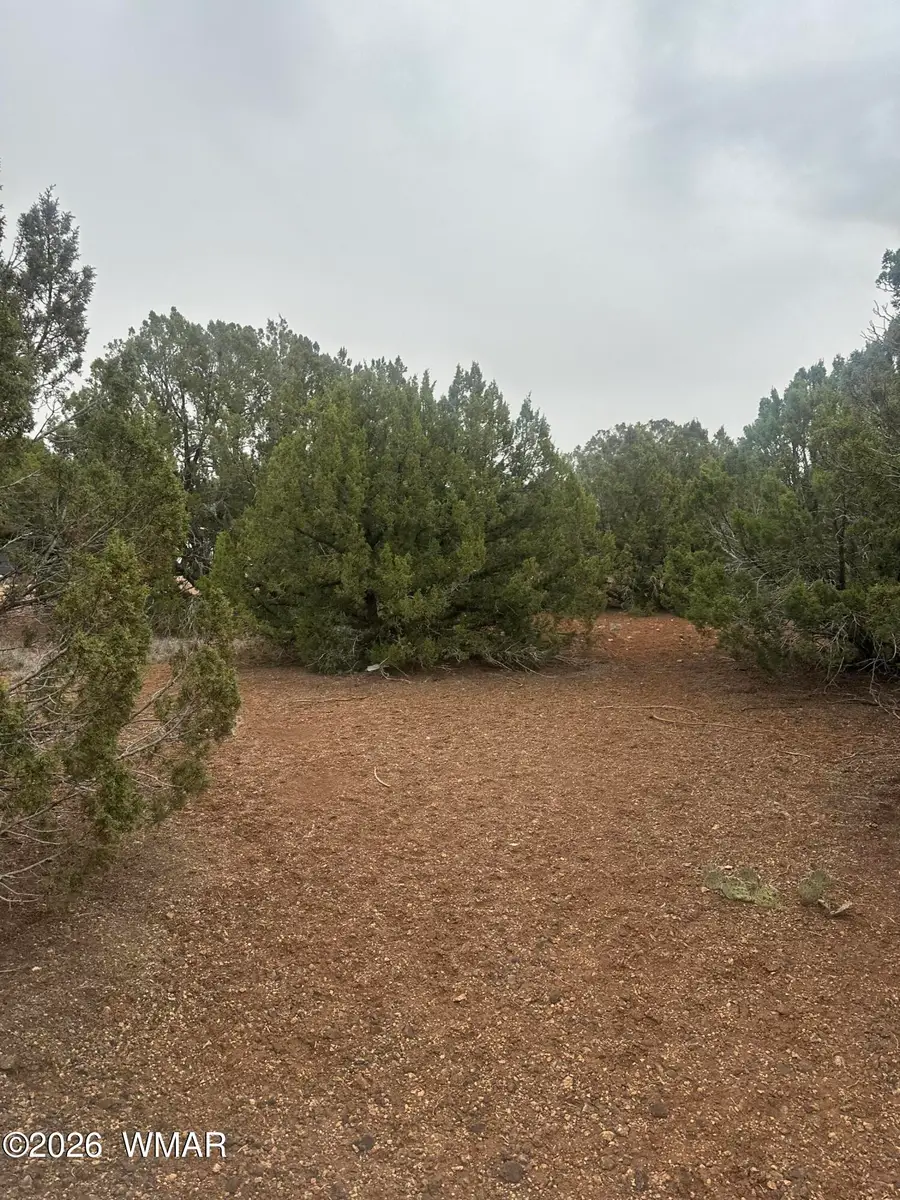 8427 Cochise Circle, Show Low, AZ 85901 - #3