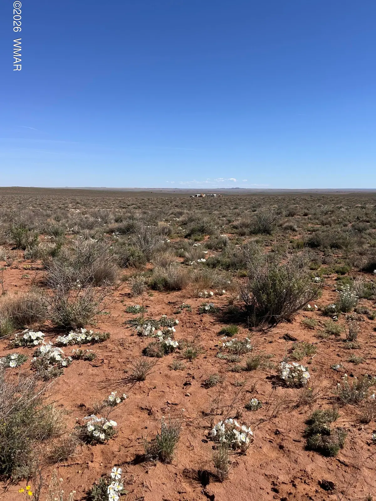 5647 Kohl Road, Snowflake, AZ 85937 - #1