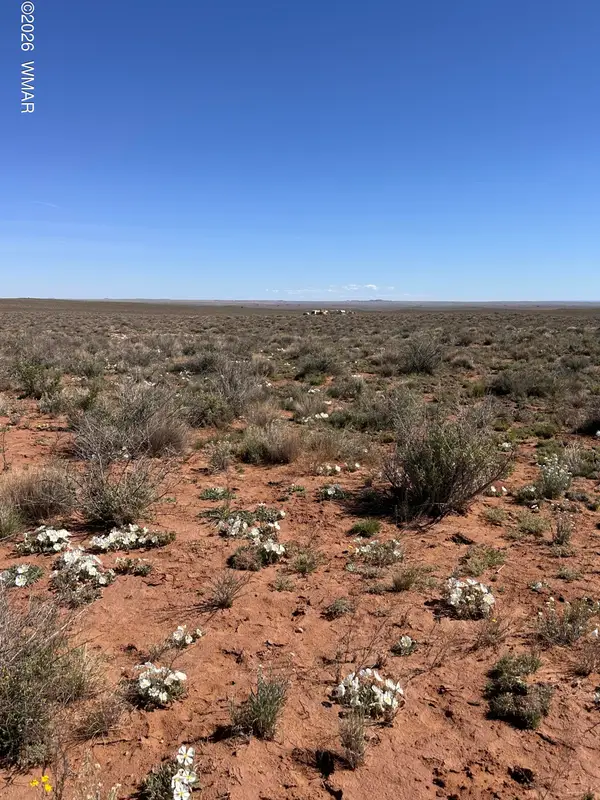 5647 Kohl Road, Snowflake, AZ 85937