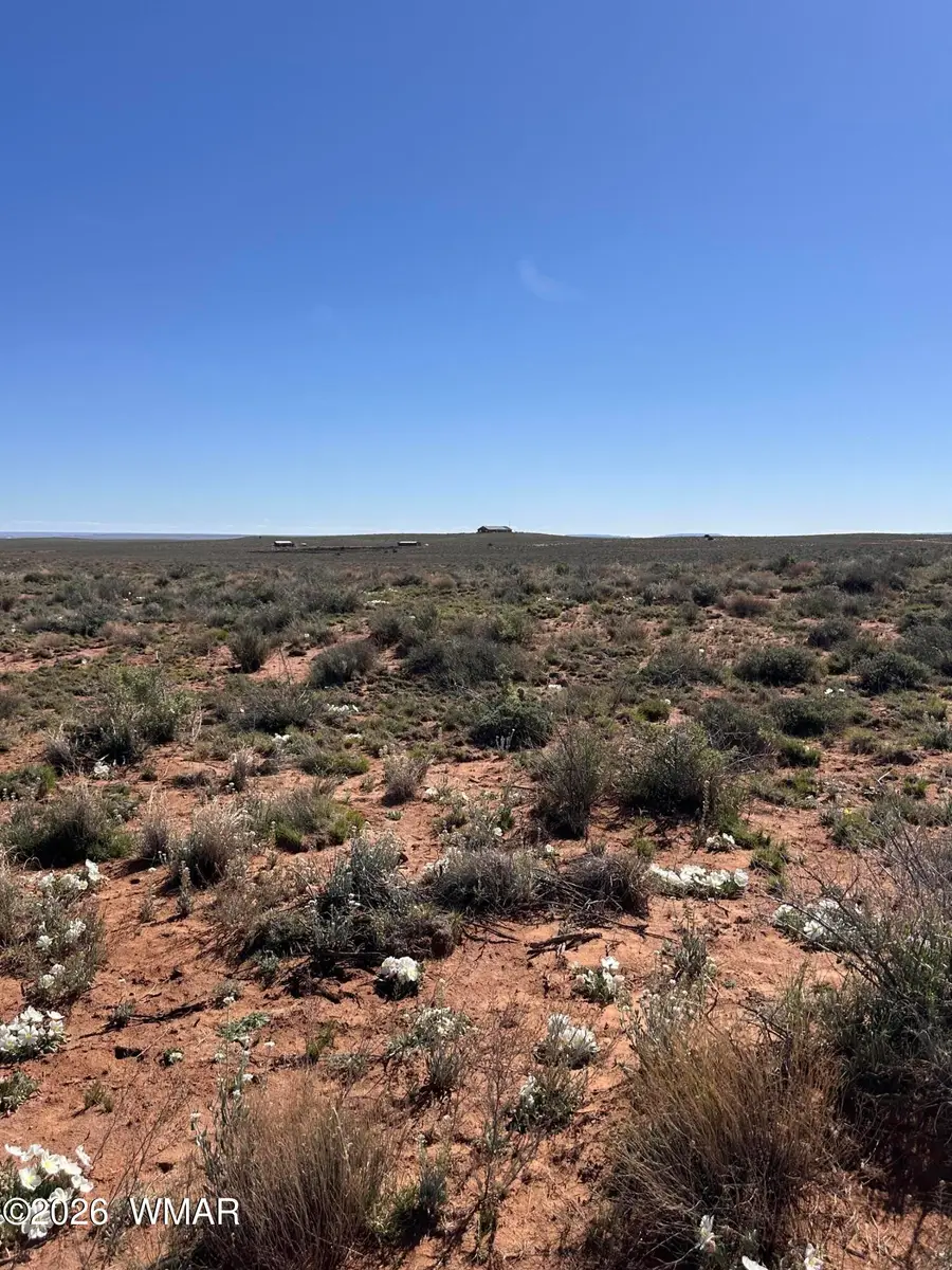 5647 Kohl Road, Snowflake, AZ 85937 - #2