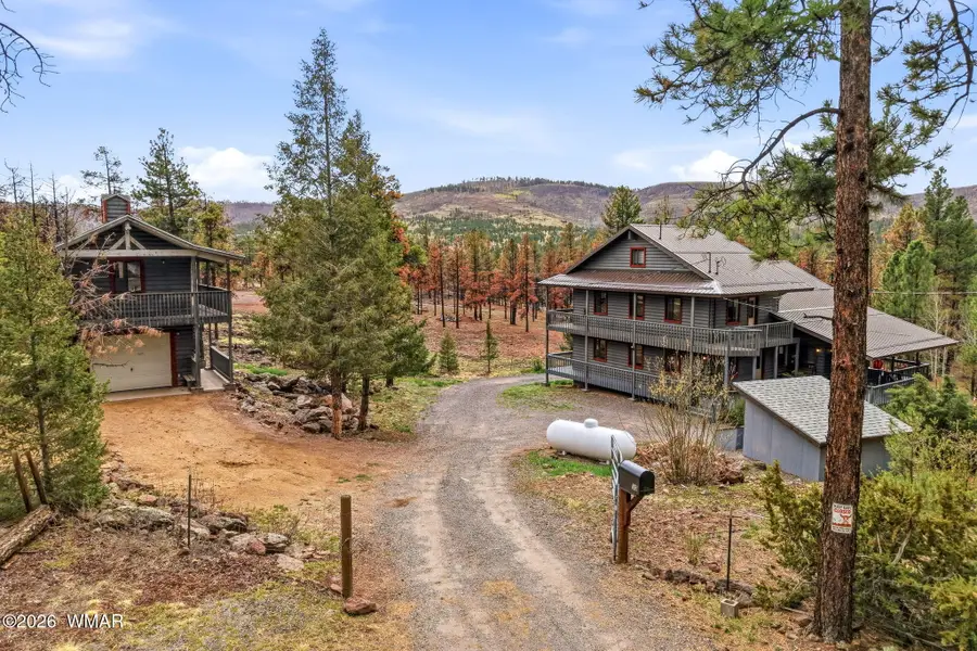 30 County Road N1022, Greer, AZ 85927 - #2