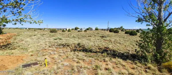 1190 S Haystack Road, Taylor, AZ 85939