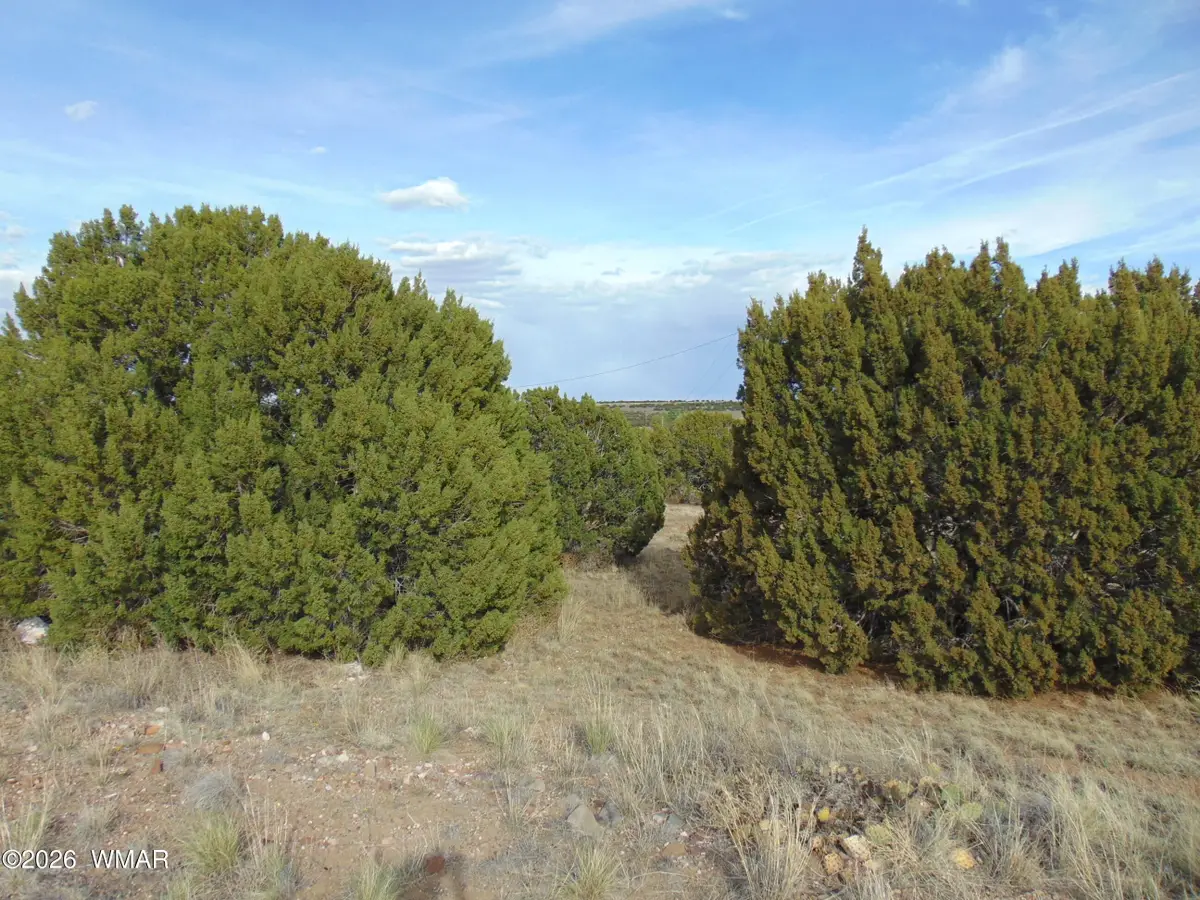 46 Crest Lane, Concho, AZ 85924 - #1
