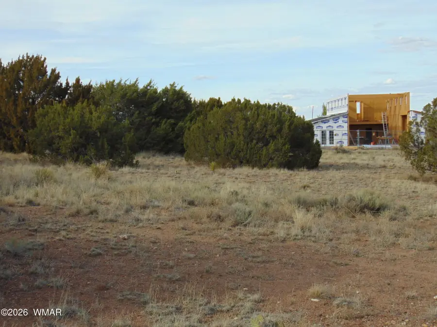 46 Crest Lane, Concho, AZ 85924 - #2