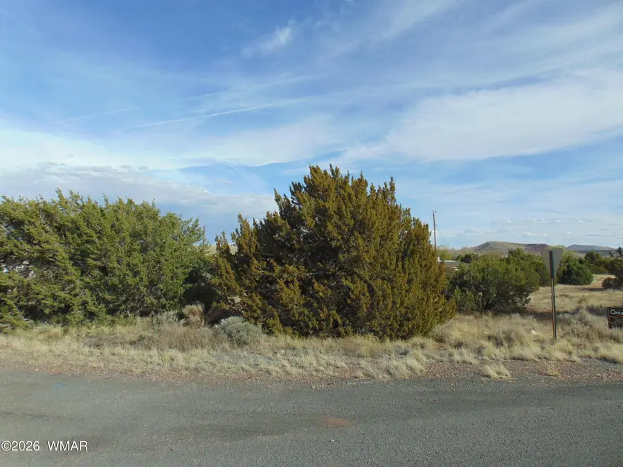 46 Crest Lane, Concho, AZ 85924 - #3