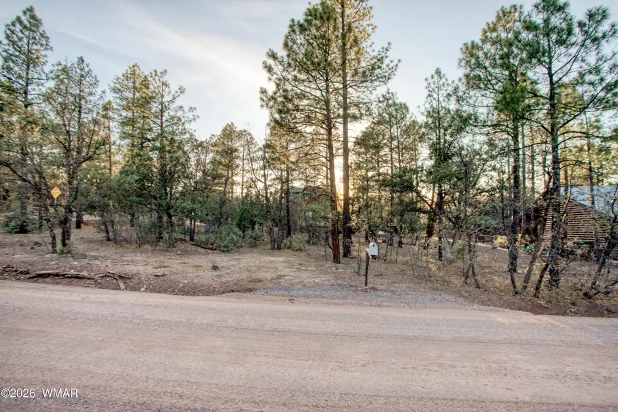 2552 Chiricahua Drive, Show Low, AZ 85901 - #2