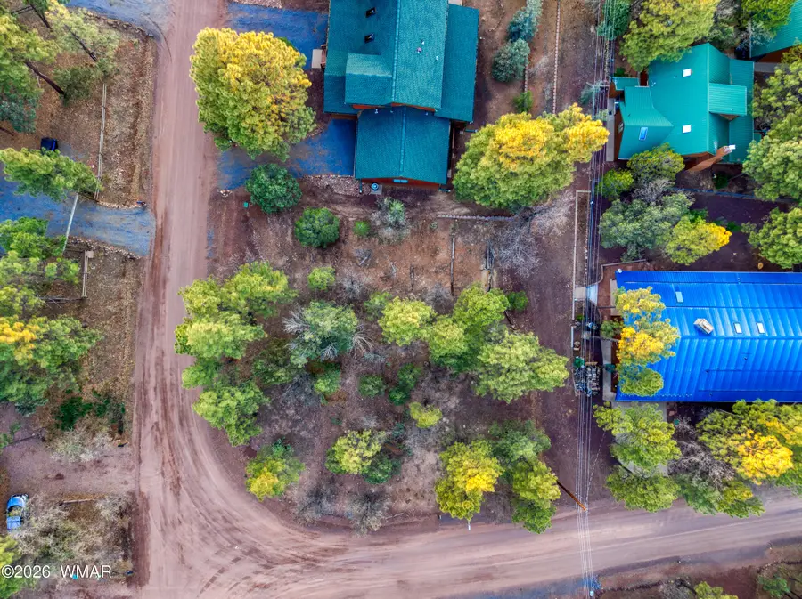 2552 Chiricahua Drive, Show Low, AZ 85901 - #3