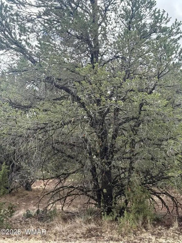 33 N3317, Vernon, AZ 85940