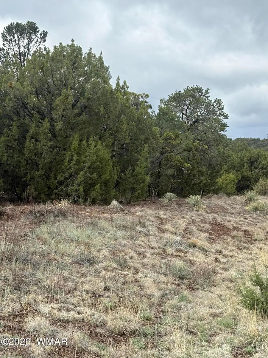 33 N3317, Vernon, AZ 85940 - #2