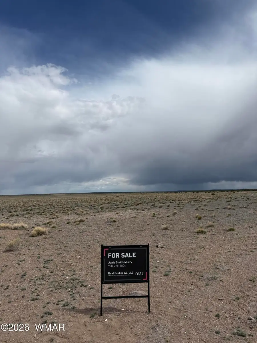 TBD N6462, Saint Johns, AZ 85936 - #2