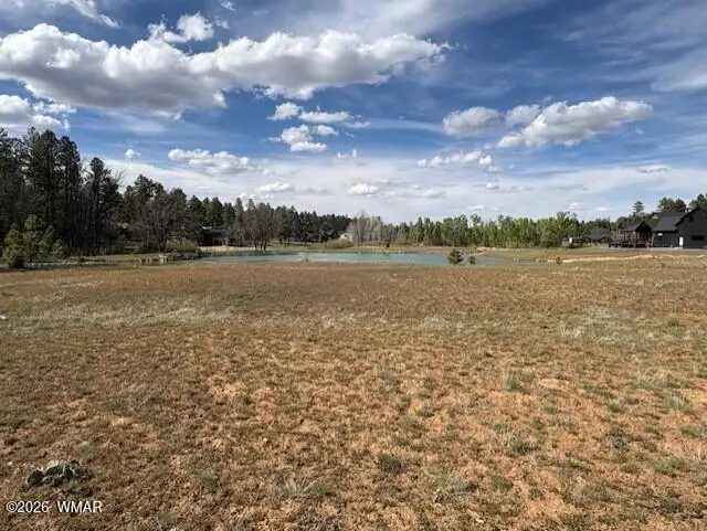 2480 W Edgewater, Show Low, AZ 85901 - #3