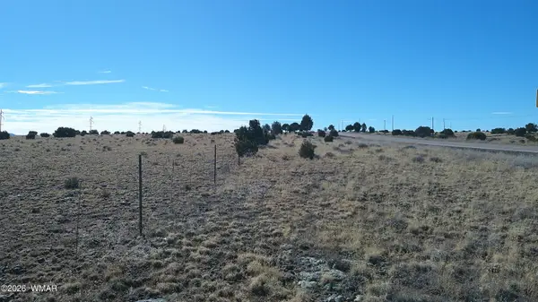 TBD Lakeview Ranch 40, Concho, AZ 85924