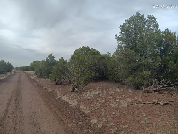 TBD 2 N8412, Concho, AZ 85924