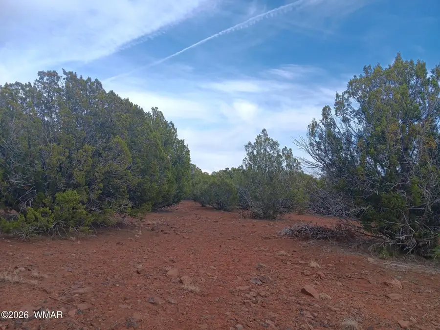 TBD 2 N8412, Concho, AZ 85924 - #3