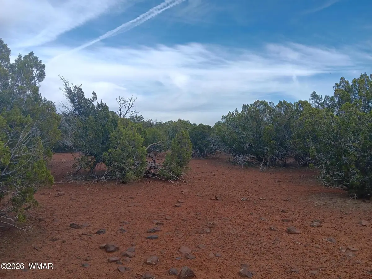 TBD 1 N8412, Concho, AZ 85924 - #1