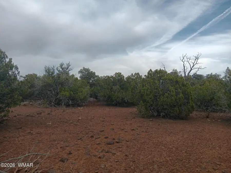 TBD 1 N8412, Concho, AZ 85924 - #2