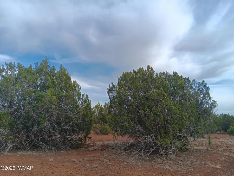 TBD 1 N8412, Concho, AZ 85924 - #3