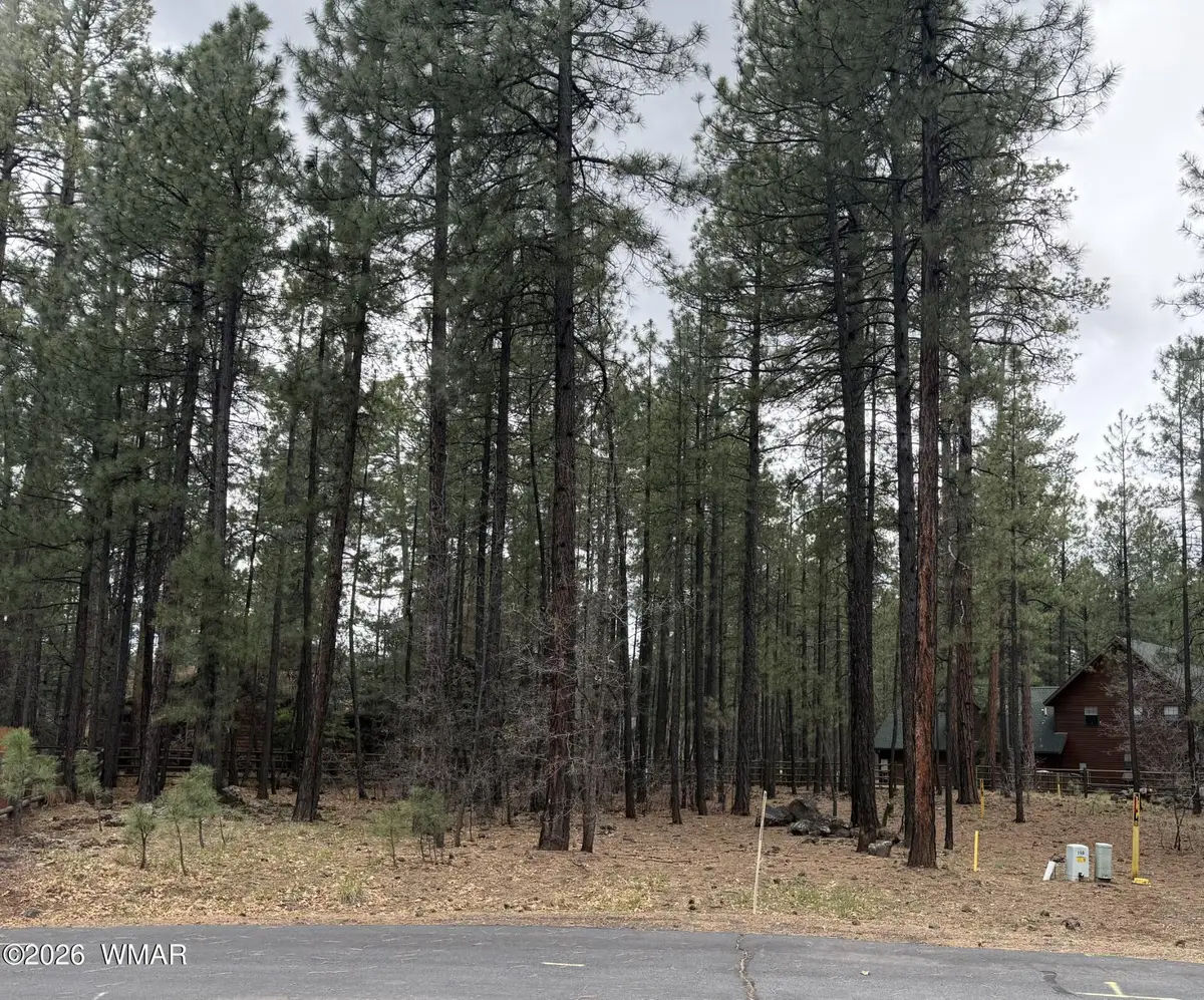 2738 Timber Ridge Lane, Pinetop, AZ 85935 - #1
