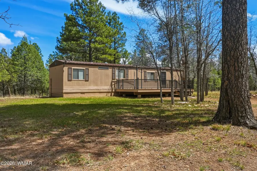 826 Jacks Canyon Drive, Happy Jack, AZ 86024 - #2