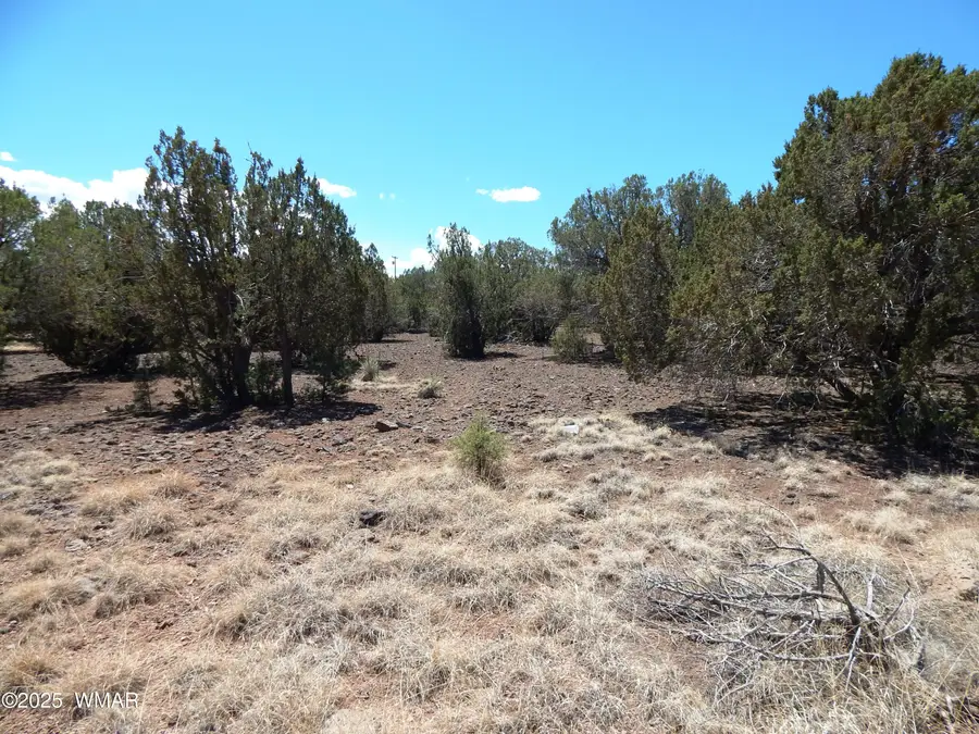 8337 Navajo Drive, Show Low, AZ 85901 - #2