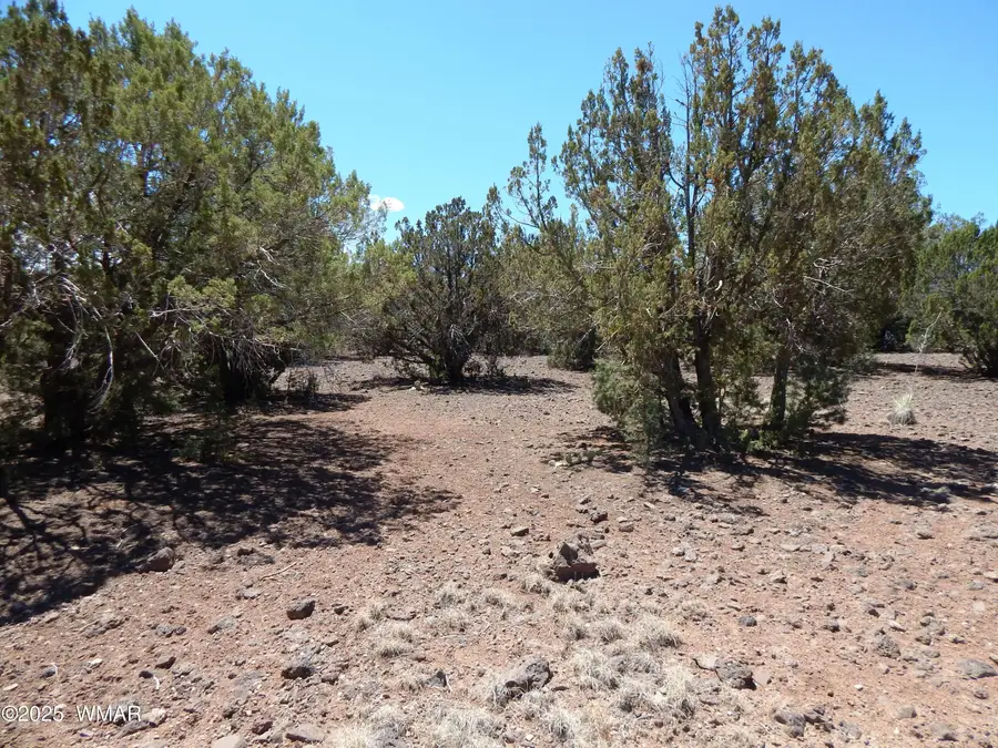8337 Navajo Drive, Show Low, AZ 85901 - #3