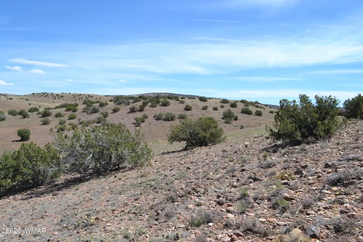 Lot 863 Acr N8497, Concho, AZ 85924 - #1