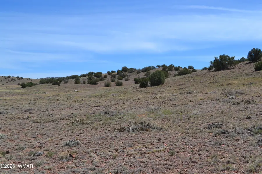 Lot 863 Acr N8497, Concho, AZ 85924 - #2