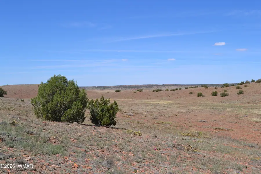 Lot 863 Acr N8497, Concho, AZ 85924 - #3