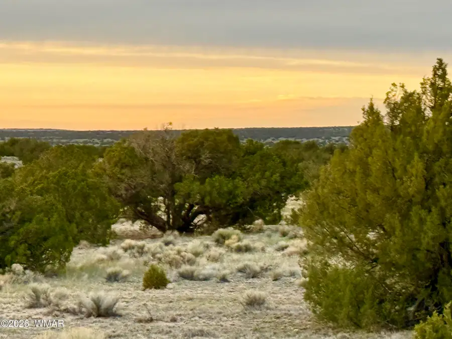 TBD Co Rd N6579 37.25 Acres, Saint Johns, AZ 85936 - #3