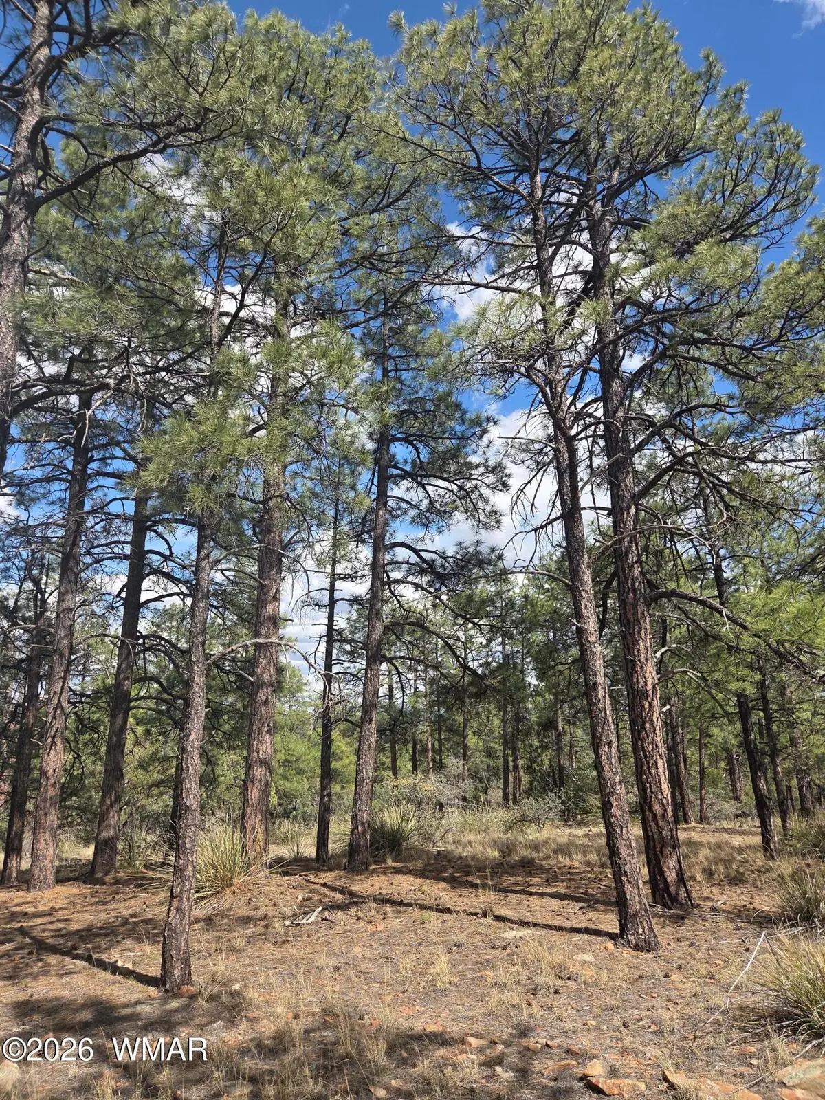 1045 Snowy Rock Ridge Drive, Show Low, AZ 85901 - #1