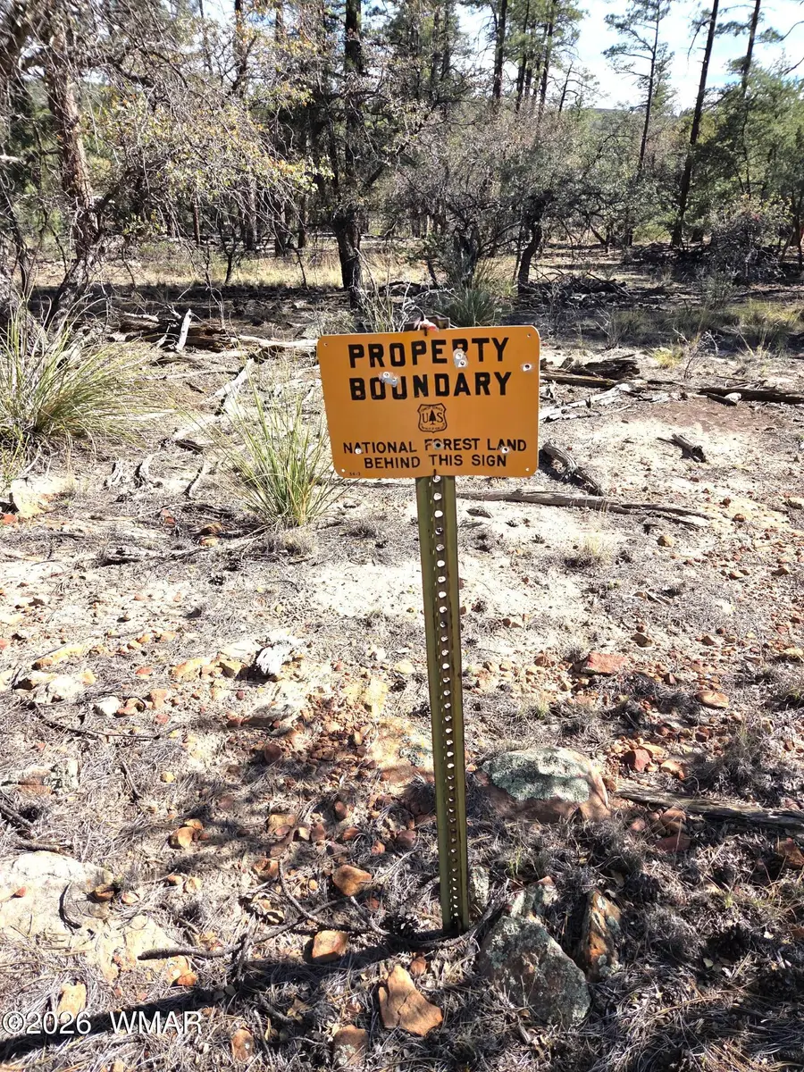 1045 Snowy Rock Ridge Drive, Show Low, AZ 85901 - #3