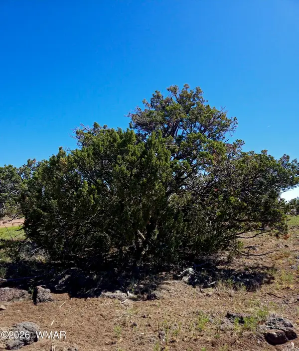 8411 Javelina Drive, Show Low, AZ 85901