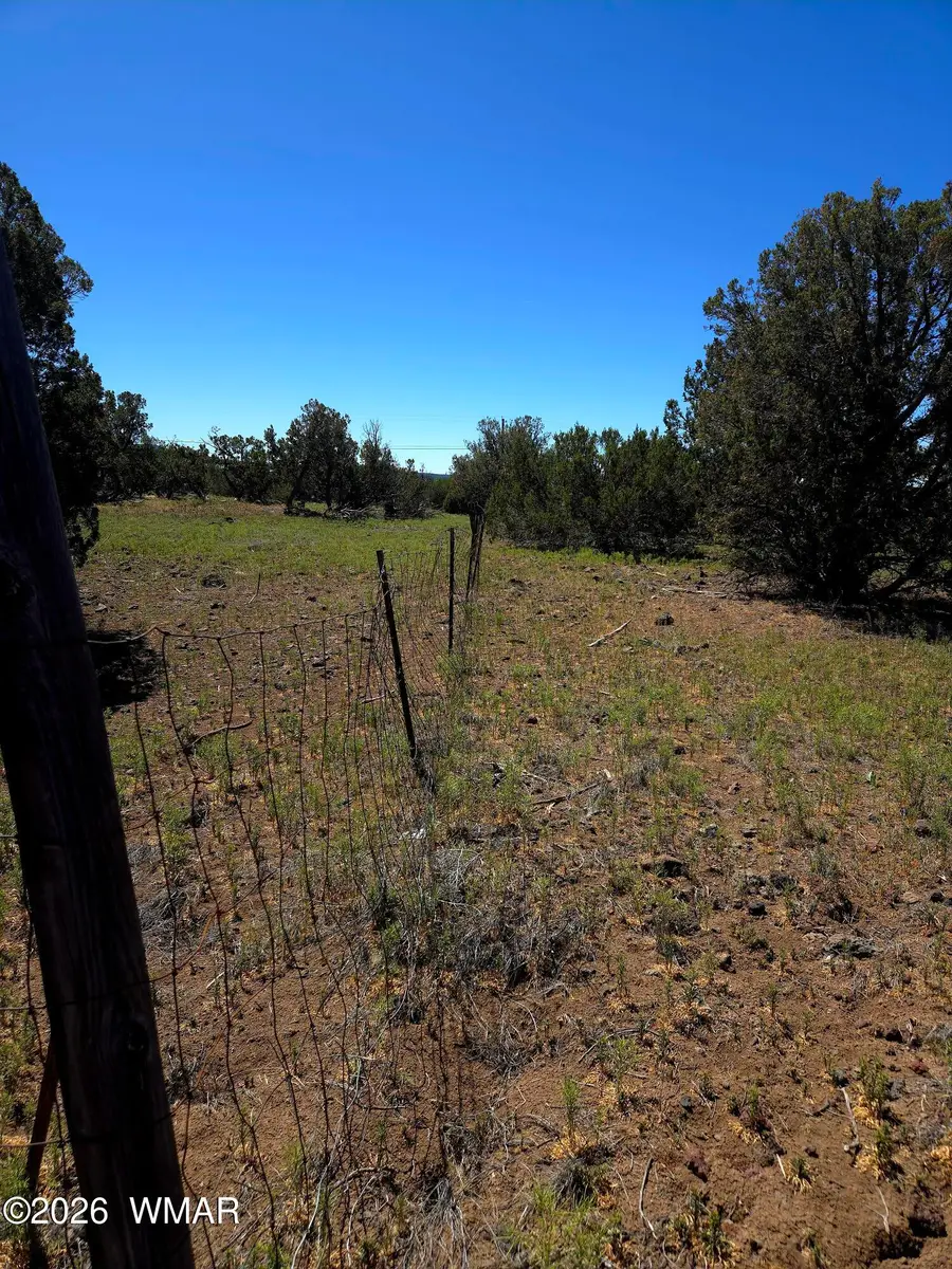 8411 Javelina Drive, Show Low, AZ 85901 - #2