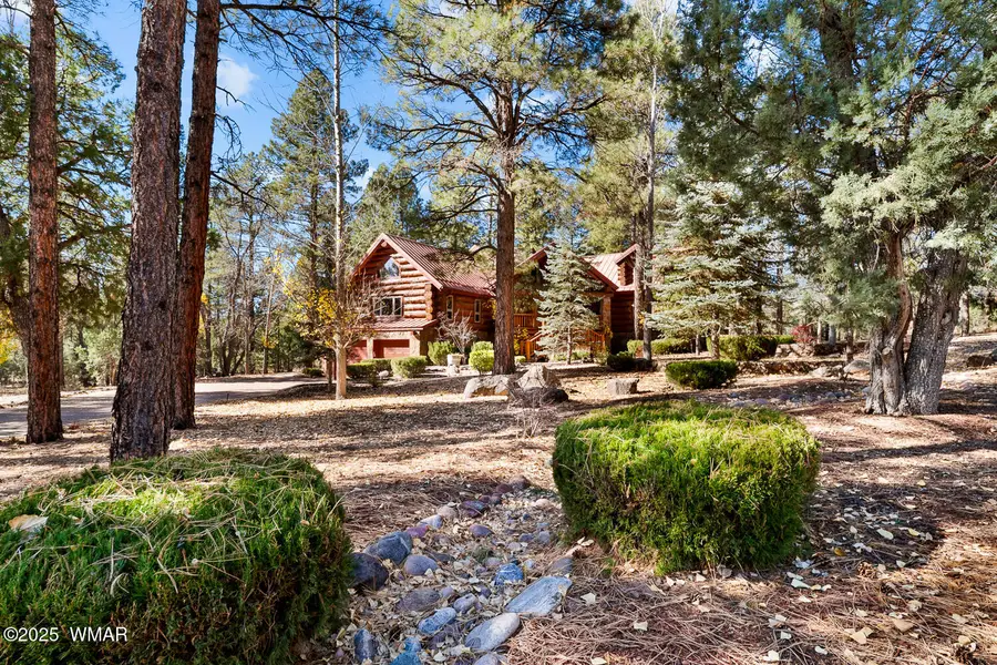 1520 S Little Leaf Lane, Show Low, AZ 85901 - #2