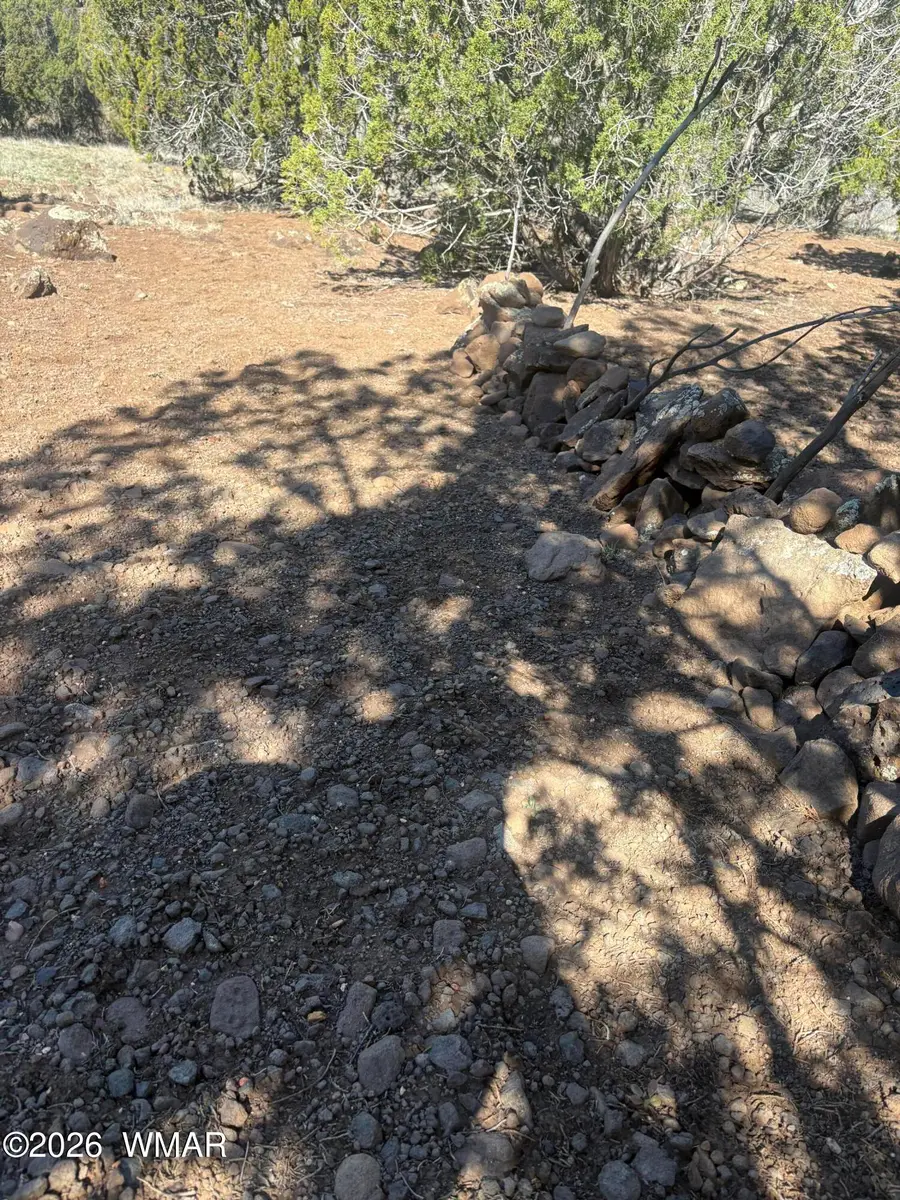TBD Daggs Circle, Show Low, AZ 85901 - #3
