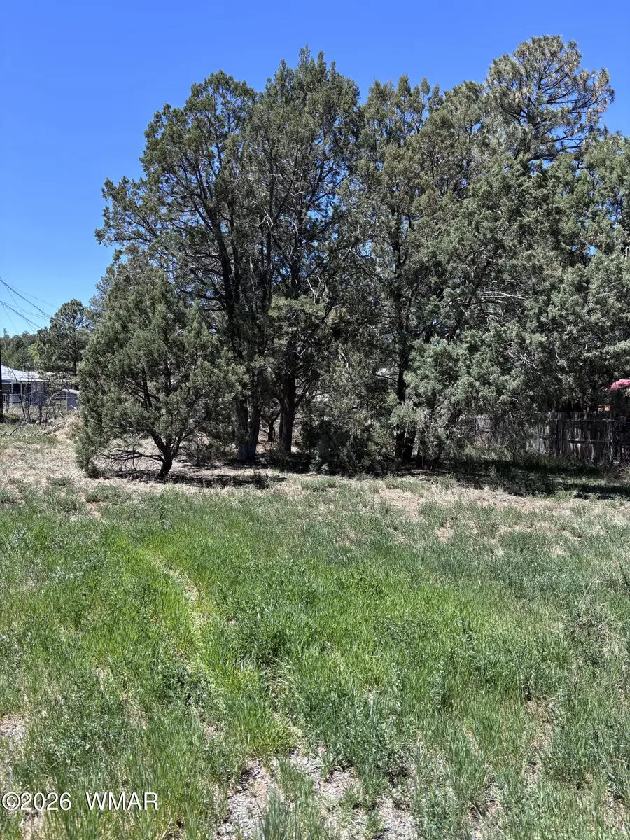 260 S 12th Avenue, Show Low, AZ 85901 - #3