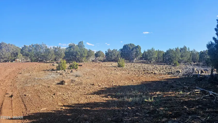 9383 Bald Eagle Road, Show Low, AZ 85901 - #2