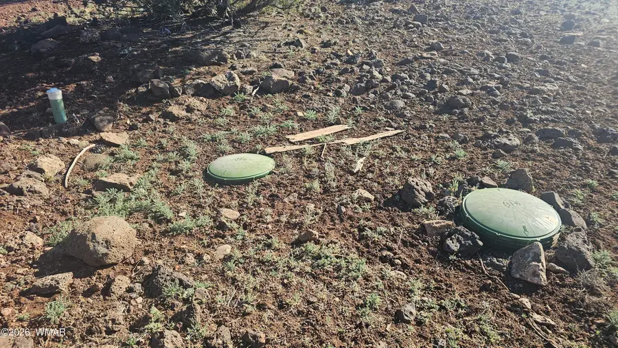 9383 Bald Eagle Road, Show Low, AZ 85901 - #3