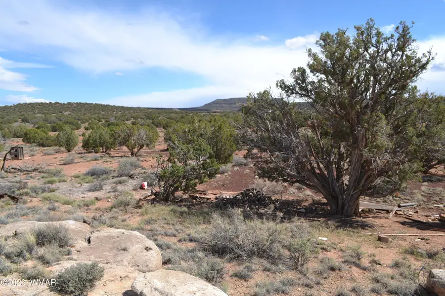 32 N8544, Concho, AZ 85924 - #3