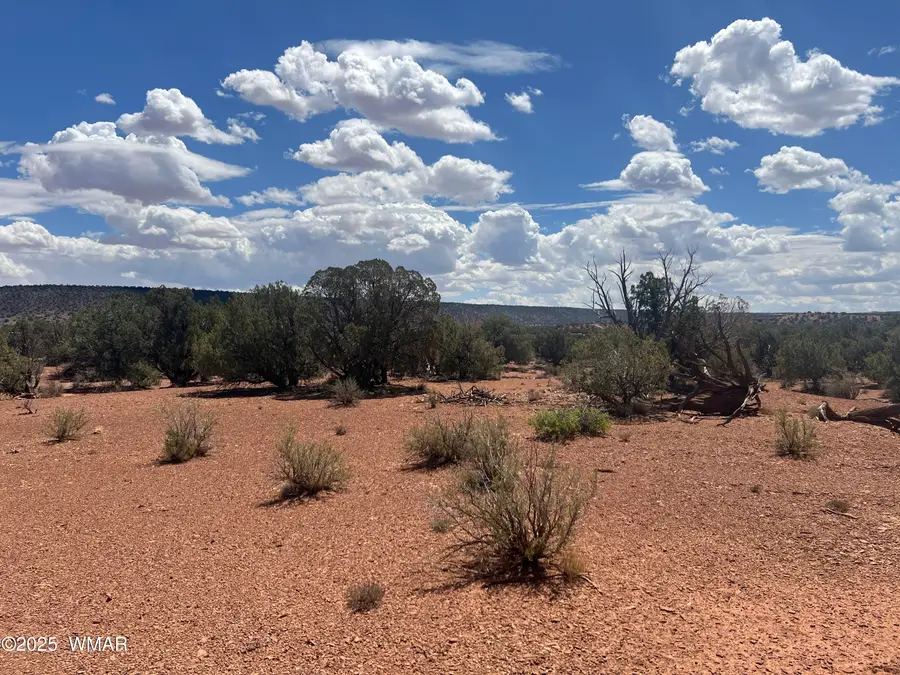 3801 Tonto Road, Snowflake, AZ 85937 - #2