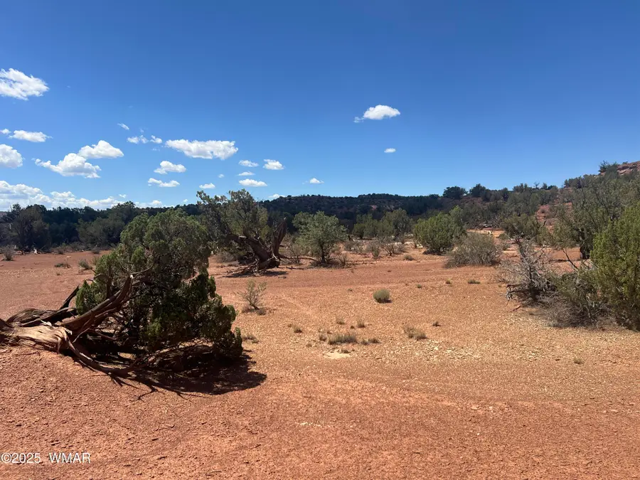 3801 Tonto Road, Snowflake, AZ 85937 - #3