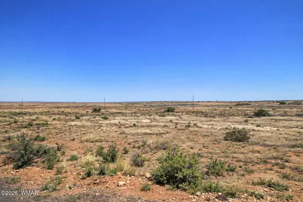 16 County Road 6016, St. Johns, AZ 85936